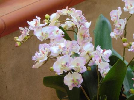 Orchidea artificiale x 2 H 56 - Sconti per Fioristi e Aziende .