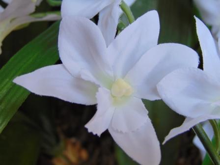 Orchidea Artificiale x 7 H 60 - Sconti per Fioristi e Aziende . in polyester