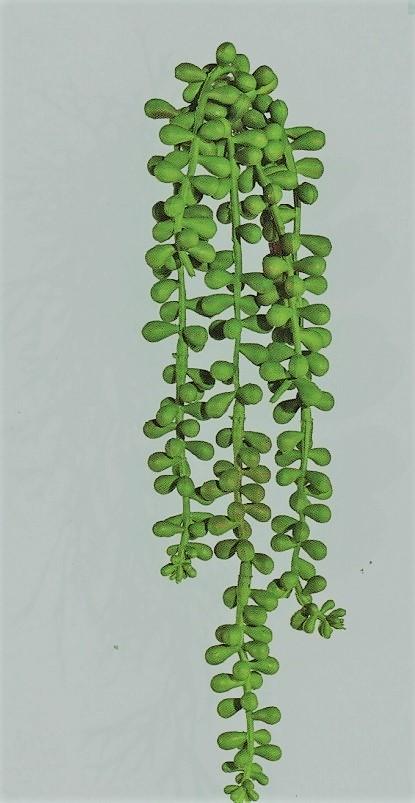 Senecio x 5 in gomma H 70 - Sconti per Fioristi e Aziende . - - Pianta del rossario Cadente