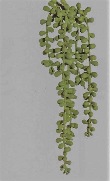 Senecio x 5 in gomma H 70 - Sconti per Fioristi e Aziende . - - Pianta del rossario Cadente