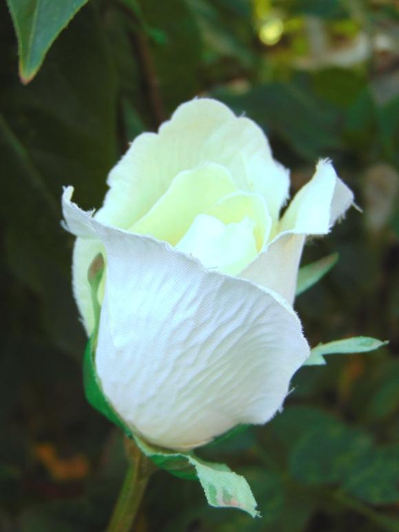 Bocciolo di rosa velvet in poliestere - Sconti per Fioristi e Aziende .