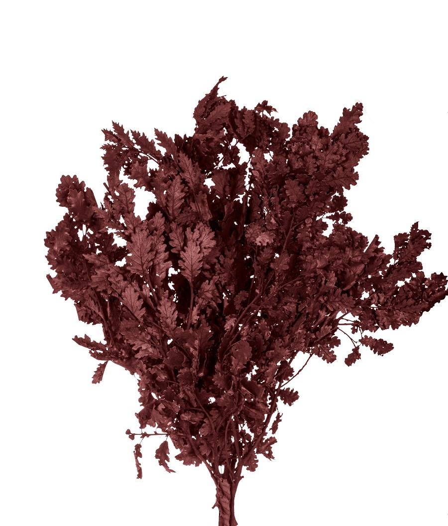 Quercia Naturale Stabilizzata  - Sconti per Fioristi e Aziende - Busta Kg.1 Rami H 90/100