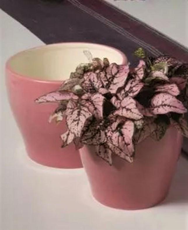 Vasi in ceramica smaltata lucida  - Sconti per Fioristi e Aziende - Serie da 2 o 3 vasi