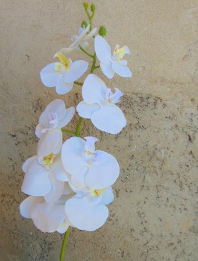 Phalenopsis x 9 in poliester - Sconti per fioristi e aziende . - Real touch