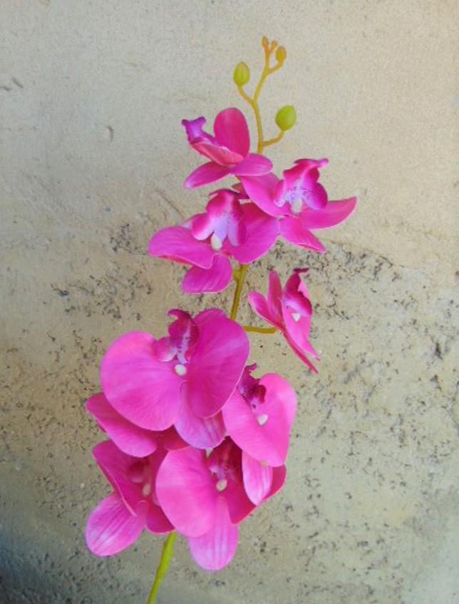 Phalenopsis x 9 in poliester - Sconti per fioristi e aziende . - Real touch