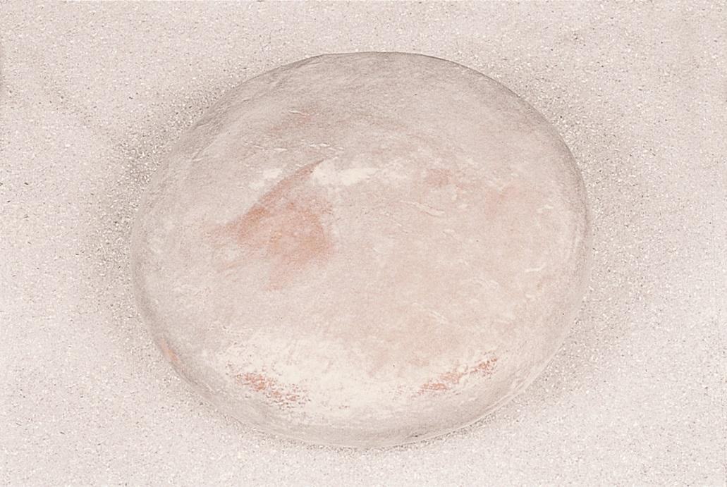 Formaggio intero artificiale in plastica - Sconti per Fioristi e Aziende . - 37x10 cm.