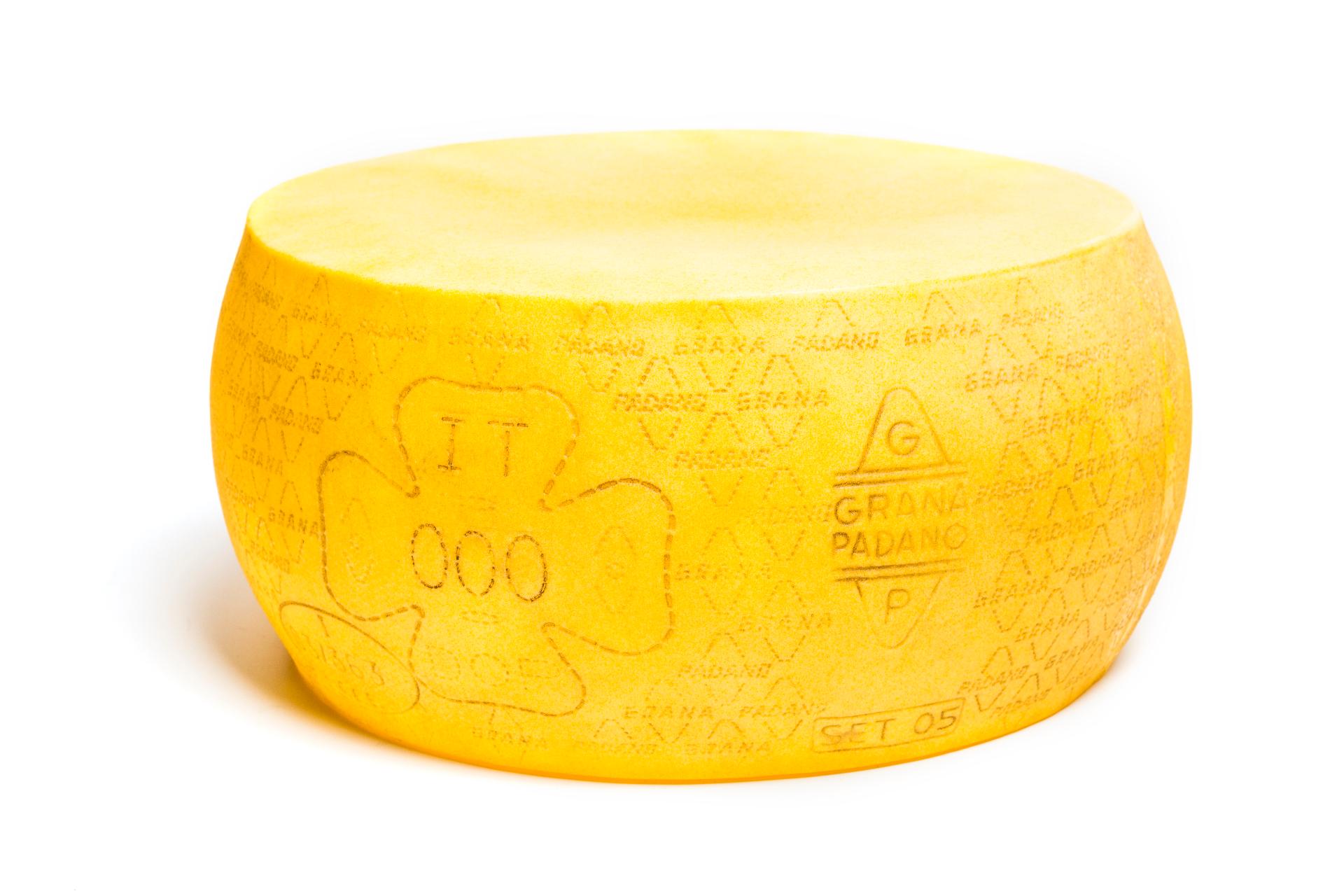Grana padano artificiale  - Sconti per Fioristi e Aziende . -  in plastica