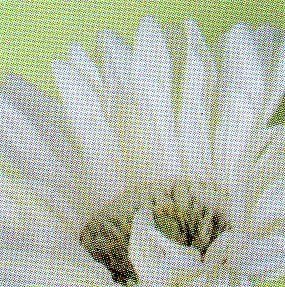 Gerbera Large Artificiale H 75 in poliestere - Sconti per Fioristi e Aziende .