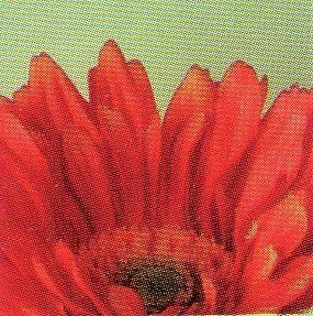 Gerbera Large Artificiale H 75 in poliestere - Sconti per Fioristi e Aziende .