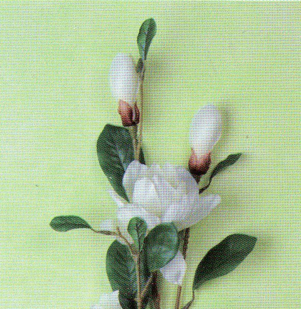 Magnolia Sulungiana H 100  in poliester - Sconti per Fioristi e Aziende .