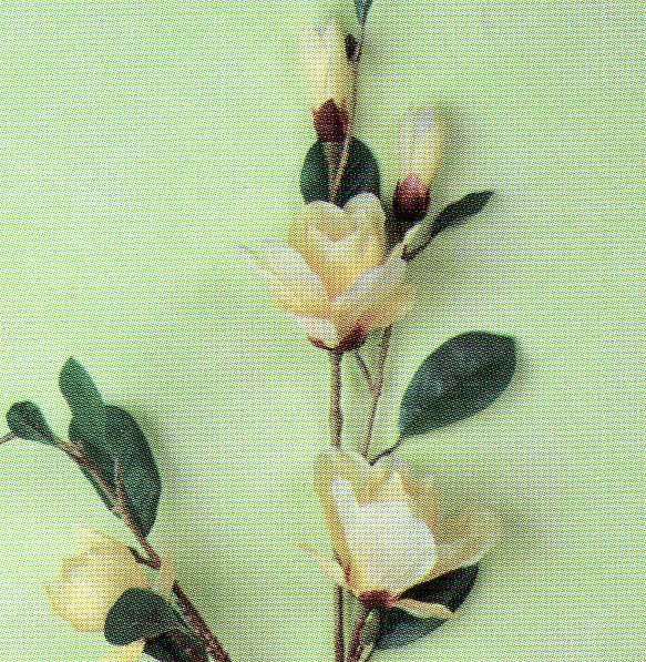 Magnolia Sulungiana H 100  in poliester - Sconti per Fioristi e Aziende .