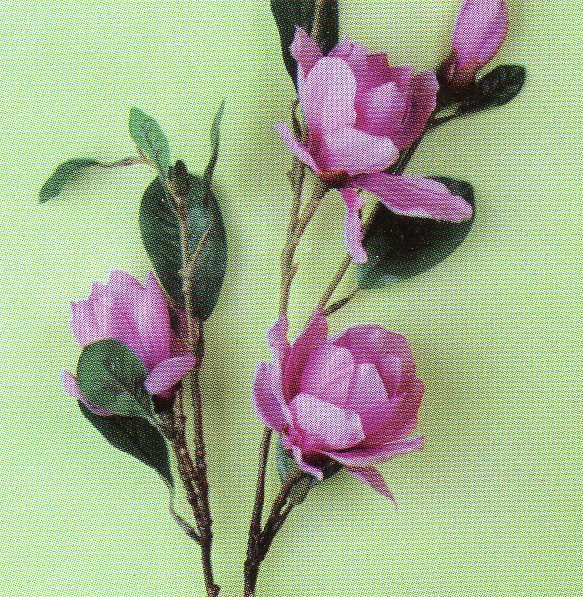 Magnolia Sulungiana H 100  in poliester - Sconti per Fioristi e Aziende .