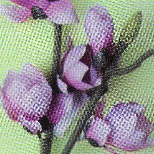 Magnolia Nipponika H 84 artificiale in poliestere - Sconti per Fioristi e Aziende .