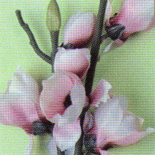 Magnolia Nipponika H 84 artificiale in poliestere - Sconti per Fioristi e Aziende .