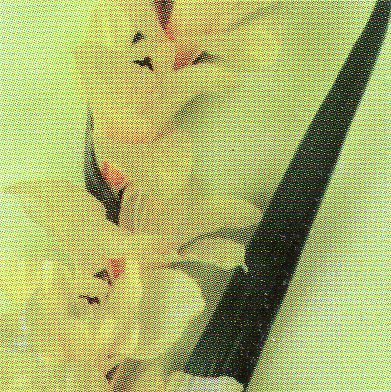 Gladiolo Artificiale H 108 x 10 fiori - Sconti per Fioristi e Aziende . -In poliestere