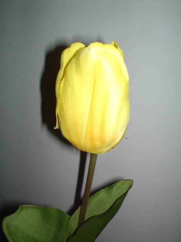 Tulipano Olandese H 47  Artificiale in poliestere - Sconti per Fioristi e Aziende .