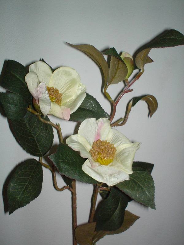 Camelia x 3 Arredo in poliester - Sconti per Fioristi e Aziende .