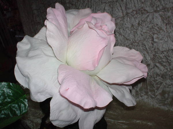 Rosa e Bocciolo Gigante H 130 - Sconti per Fioristi e Aziende . - in Micropeach