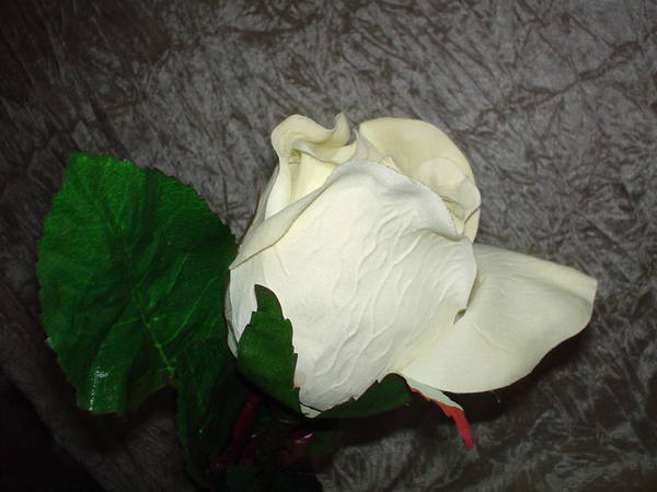 Rosa e Bocciolo Gigante H 130 - Sconti per Fioristi e Aziende . - in Micropeach