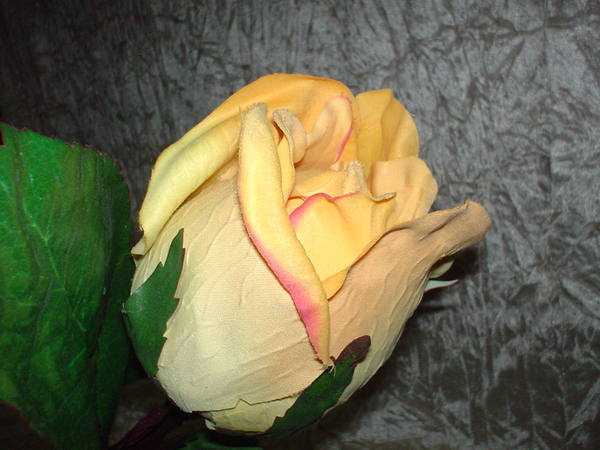 Rosa e Bocciolo Gigante H 130 - Sconti per Fioristi e Aziende . - in Micropeach