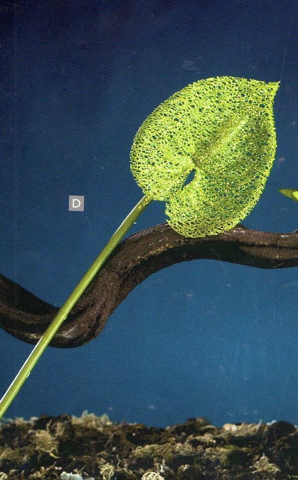 Anturium artificiale H 90  - Sconti per Fioristi e Aziende Glitterato Turchese/Verde/Argento