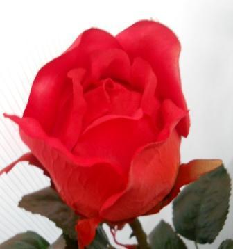 Rosa e Bocciolo Gigante H 130 - Sconti per Fioristi e Aziende . - in Micropeach