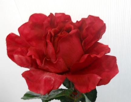 Rosa e Bocciolo Gigante H 130 - Sconti per Fioristi e Aziende . - in Micropeach