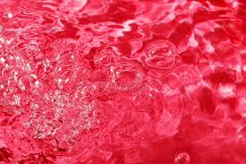 Colorante liquido per Acqua flacone da ml. 250 - Sconti per Fioristi e Aziende