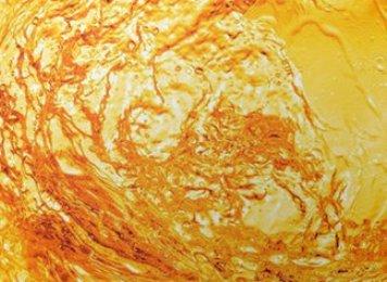 Colorante liquido per Acqua flacone da ml. 250 - Sconti per Fioristi e Aziende