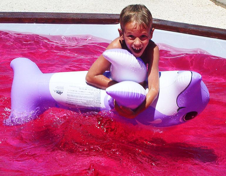 Colorante liquido per Acqua  - Sconti per Fioristi e Aziende . - Flacone 250 Ml.