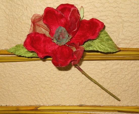 Magnolia Velluto Rosso  - Sconti per Fioristi e Aziende . - dm.15 e 25