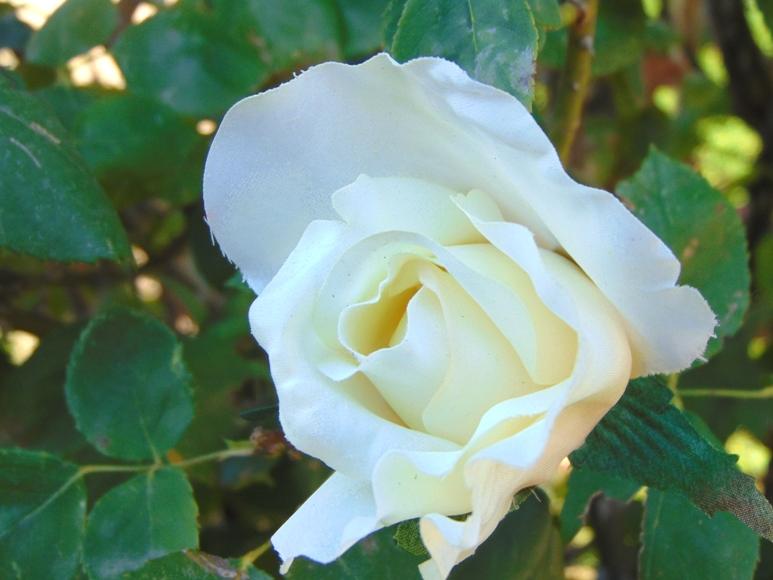 Bocciolo di rosa con 6 foglie in poliestere - Sconti per Fioristi e Aziende .