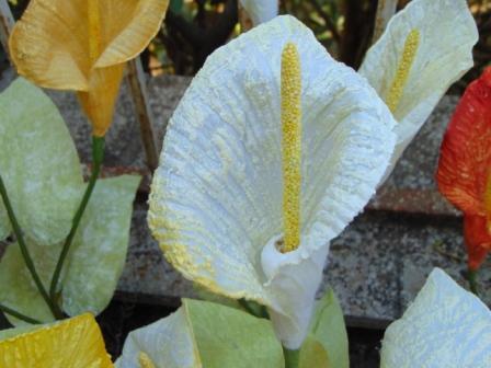 Calla x 3 in paperoof H 70 - Sconti per Fioristi e Aziende .