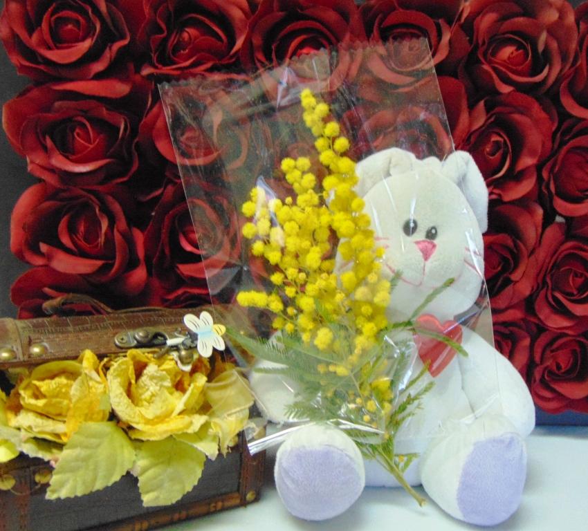 ESAURITA Mimosa fresca in busta  - Sconti per Fioristi e Aziende - Trasparente rami da cm. 20/25 - 30/40 - 45/50