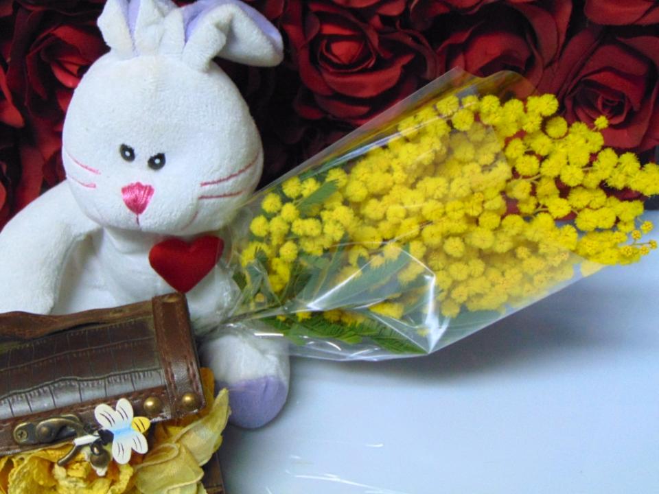 ESAURITA Mimosa fresca in busta  - Sconti per Fioristi e Aziende - Trasparente rami da cm. 20/25 - 30/40 - 45/50