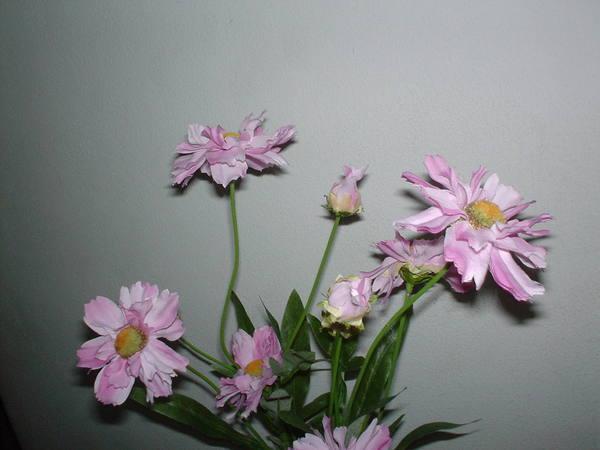 Aster Spray x 5 Artificiale in poliestere - Sconti per Fioristi e Aziende