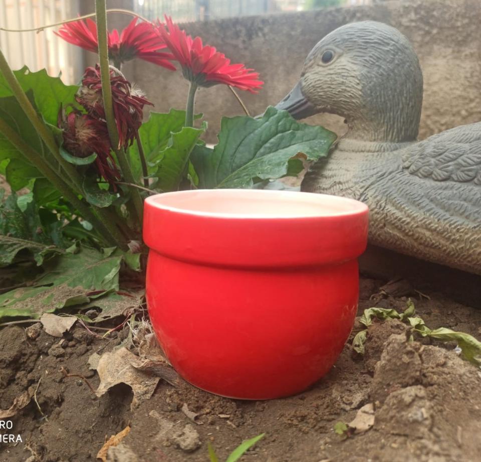 Casponcino Smaltato lucido H 10 dm.12 - Sconti per Fioristi e Aziende