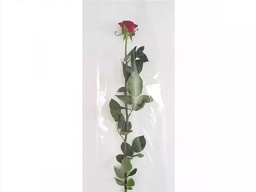 Buste per rosa H 25 X 100 - Confezione da 100 buste - Tutta Trasparente