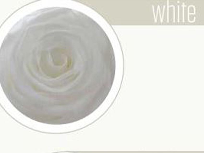 Bocciolo di Rosa Preservata Premium  cm. 6,5  - Sconti per Fioristi e Aziende . - Box da 6 rose