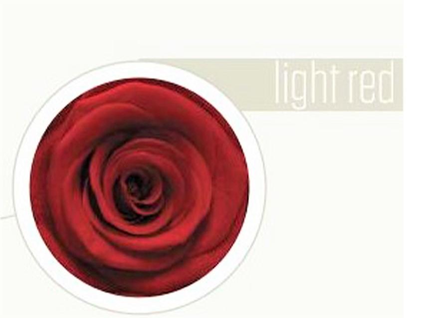 Bocciolo di Rosa Preservata Premium  cm. 6,5  - Sconti per Fioristi e Aziende . - Box da 6 rose