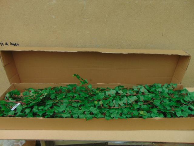 Edera Cadente Mini H 115 - Sconti per Fioristi e Aziende . - Con 618 foglie