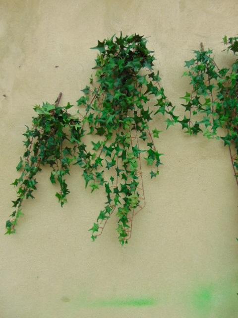 Edera Artificiale H 90 cm. - Sconti per Fioristi e Aziende . -  Pitzsburgh  con 371 foglie