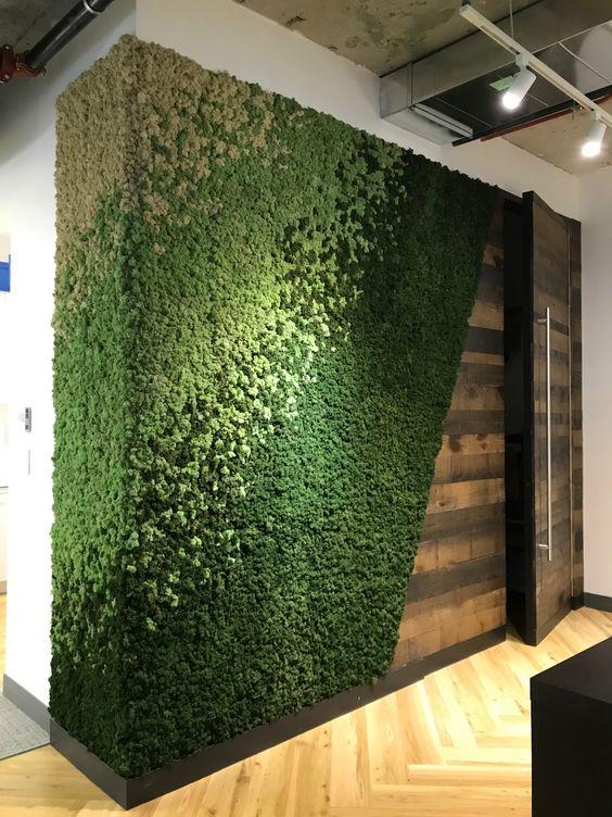 Parete Moss Stabilizzata Wall Moss  - Sconti per Fioristi e Aziende - a metro quadrato