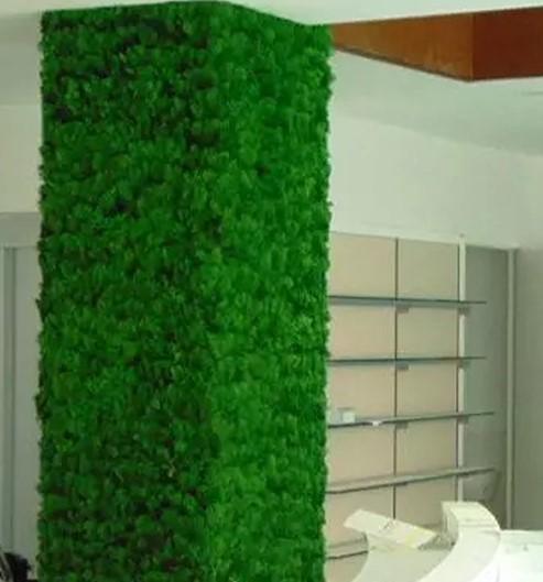 Parete Moss Stabilizzata Wall Moss  - Sconti per Fioristi e Aziende - a metro quadrato