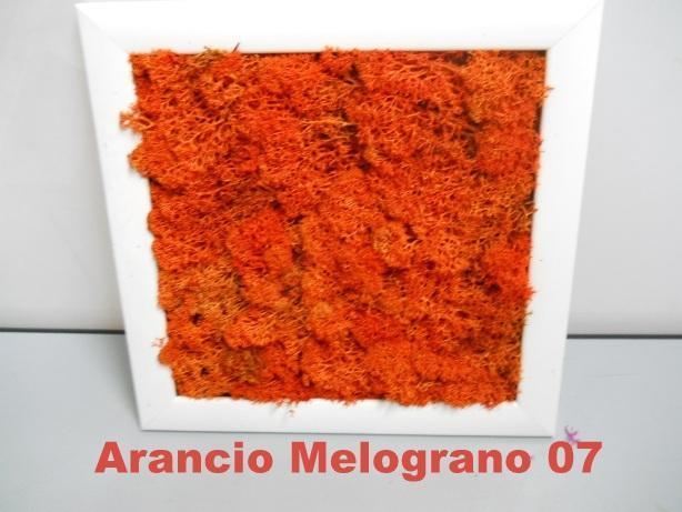 Quadro moss cm. 20 x 20 Head o Flat work - Sconti per Fioristi e Aziende