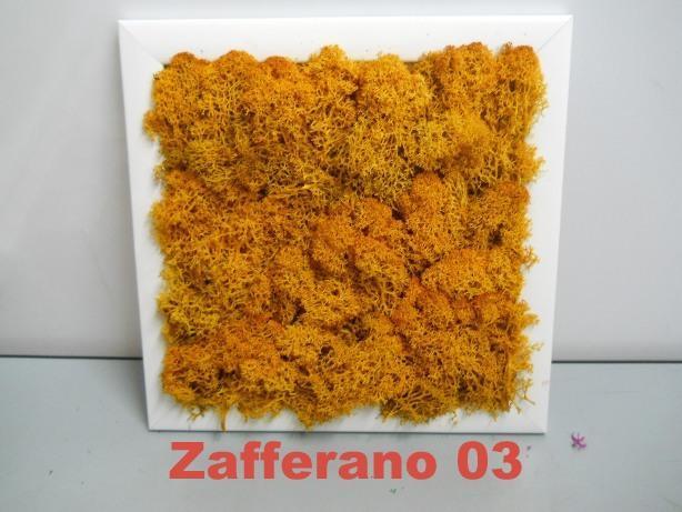 Quadro moss cm. 20 x 20 Head o Flat work - Sconti per Fioristi e Aziende