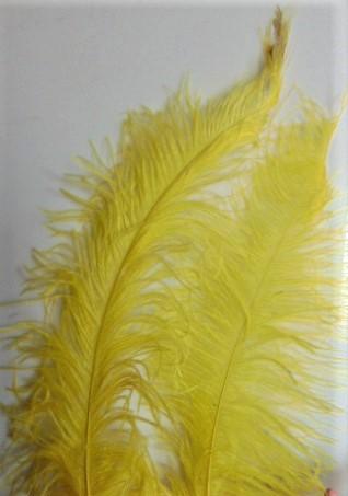 Piume di struzzo cm. 55/60  - Sconto per Fioristi e Aziende - in vari colori