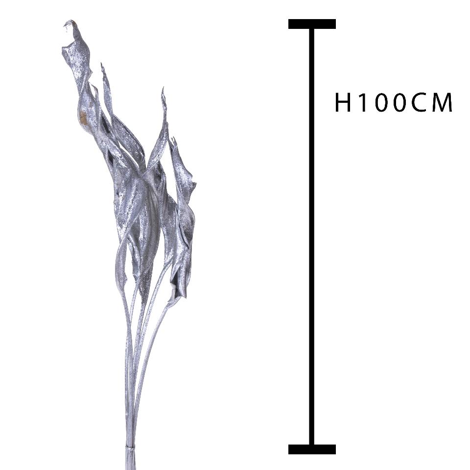 Foglie di Sterlizia Dry H 100 - Sconti per Fioristi e Aziende - Busta 8 foglie Stabilizate Colorate