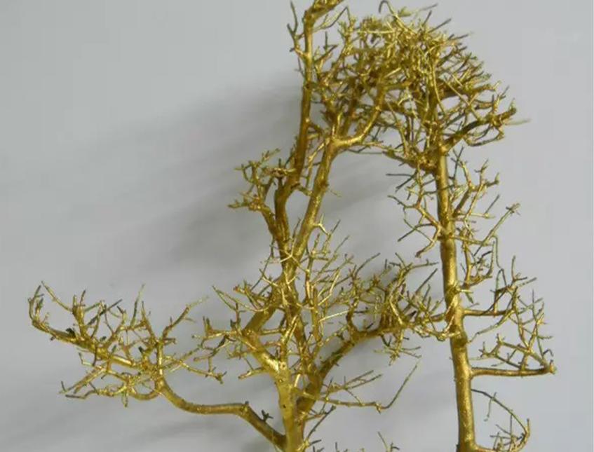 Faggio Marino Naturale  - Sconti per Fioristi e Aziende - Alto da cm.50 a cm. 75