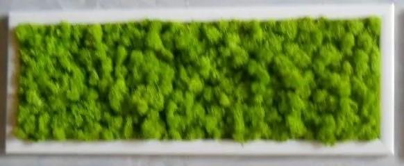 Quadro Moss cm. 20 x 60 - Sconti per Fioristi e Aziende . - Head e Flat work